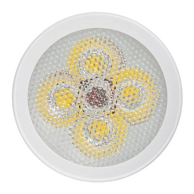 LED-4W/14 - 2